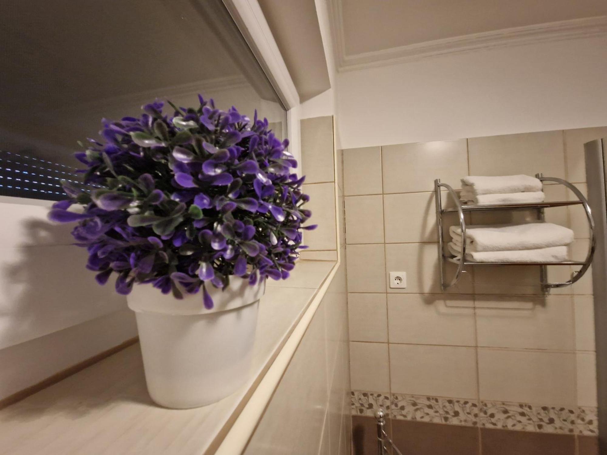 Centrum Business Apartman Szekszard Daire Dış mekan fotoğraf
